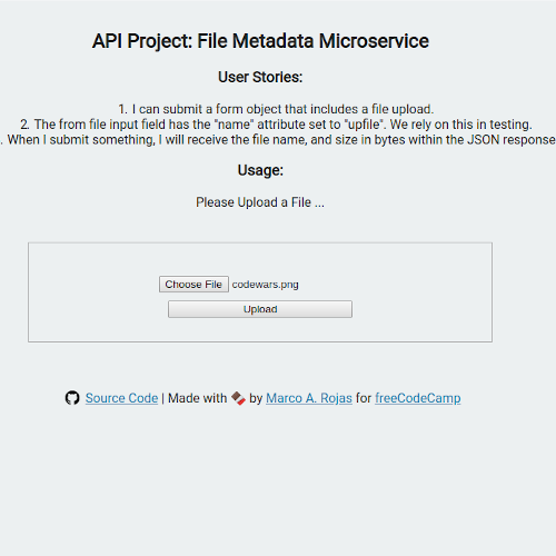 Metadata Microservice home page